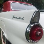 ford thunderbird t bird 1955 roadster restaurierung weiss 90